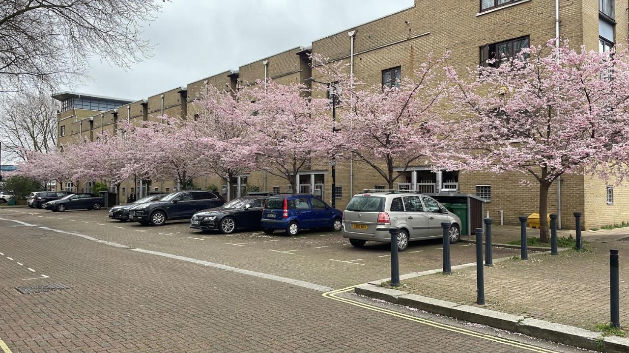 Plough Way Flat Apartamento Londres Exterior foto